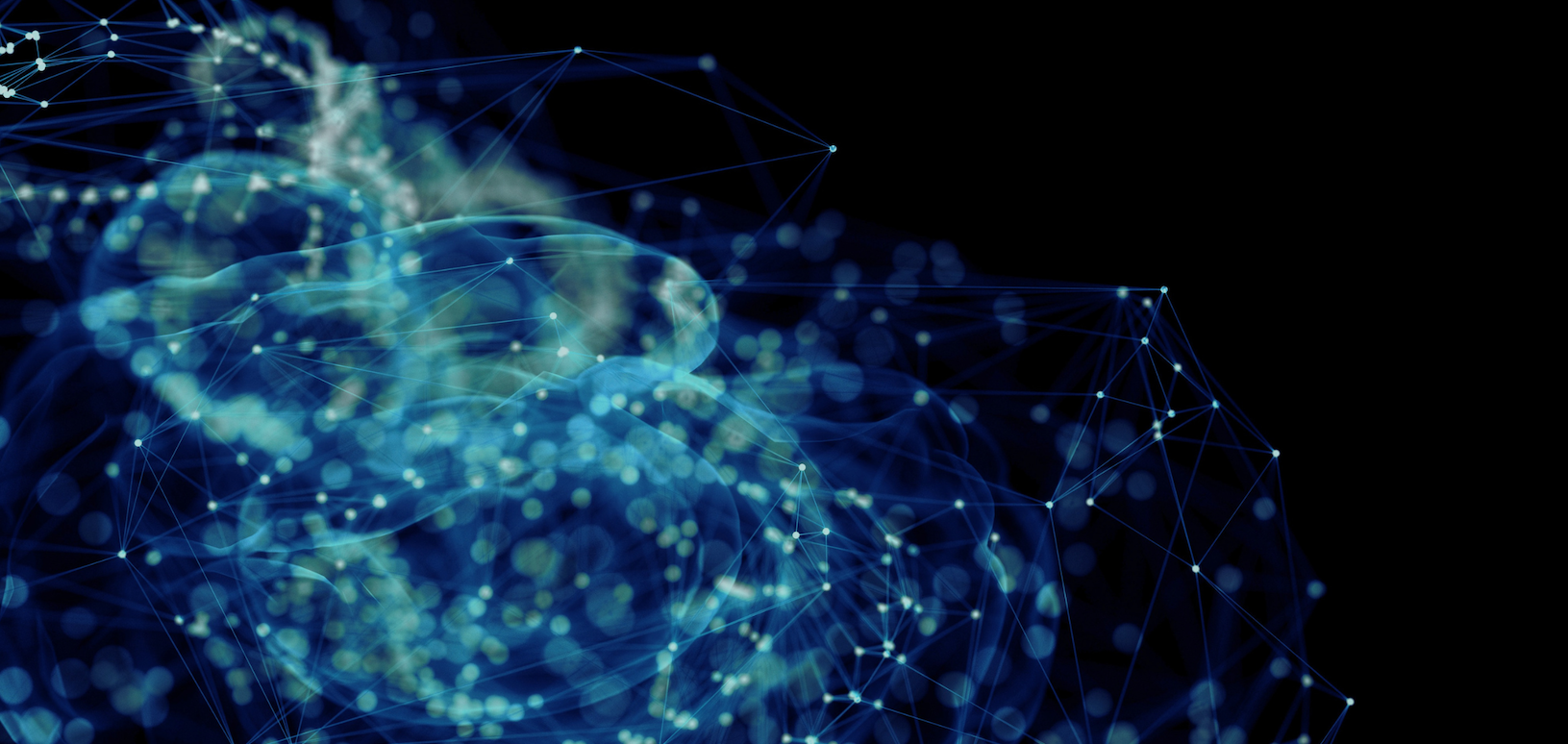 INESCUBE el ojo artificial inteligente