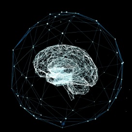 El Software de IOVI está diseñado para adaptarse a cualquier necesidad de visión artificial.