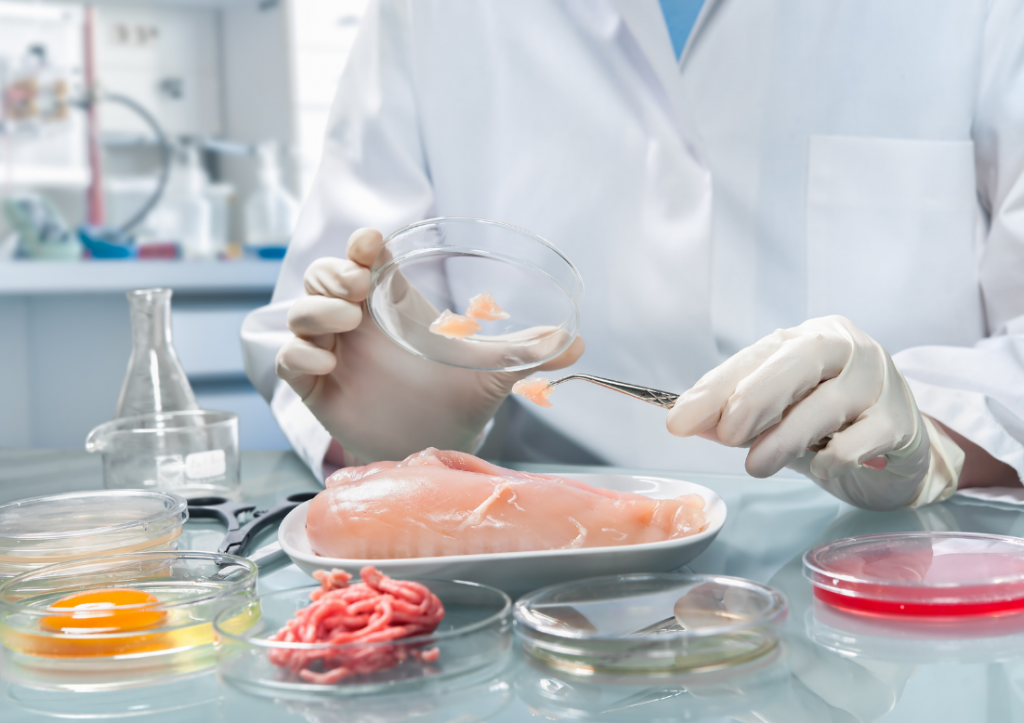 Visión artificial inteligente para Seguridad Alimentaria en el sector Agrifood